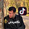 senior_fan1