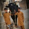 owaiskhankhan11