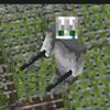 fanoth09