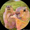 sen0r.pastel