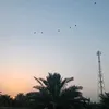 119955442983y3