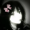 lele123315