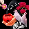 user2348798615005