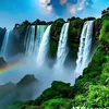 nounour252