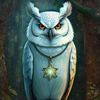 owl_elbouma