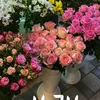 rooz_kurd