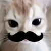 lulu_melonthe1