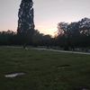 elifronsoundcloud