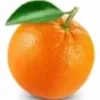orangey_tiktok8