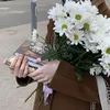 lily_9993