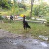 rafa.pratama17