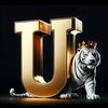 usmansardar789