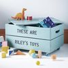 toptentoys