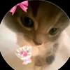 sx_sam