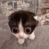 kiwkiw88kiw