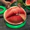 gogogogog224