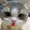miii_3951