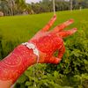 🍁মায়া চৌধুরী 🍁