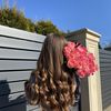 chams.elhouda16