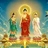 tu.hao.viet_nam