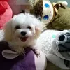 candy.nguyen335