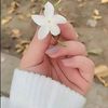 ahmad.alhassan812