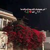 habibahamdy2476