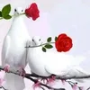 user9860347561079