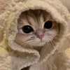 thi.minh.yen.nguy