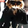 maggie.talentscout
