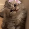 nothing_20258
