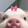 hruupek