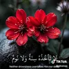 user59290184550502