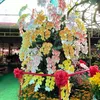 vn.t.nguyn166