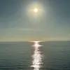 lu__2203