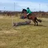 sadie.barber.navi