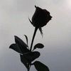 arooj_azeem