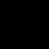 bejingloncat1