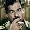 abo_3day