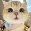 www.tiktok.comuerr.com