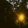 hoangduyanh_real