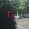 meld_dd