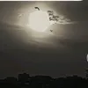 yalda_othmann