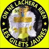gilet.jaune.57