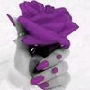 user1136250240437