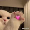 kathleensayhelloo