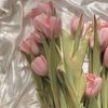 noor.bbb4