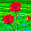 shbbe8