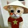 user657641228