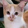 tikya.vlog